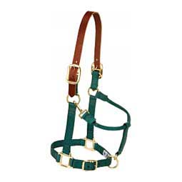 Breakaway Horse Halter with Adjustable Chin and Throat Snap Hunter Green - Item # 47634