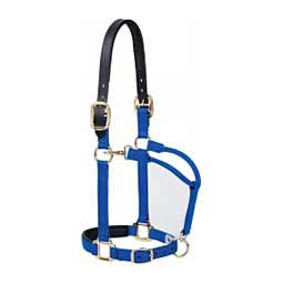 Padded Breakaway Horse Halter with Adjustable Chin and Throat Snap Blue - Item # 47635