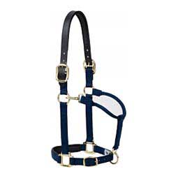 Padded Breakaway Horse Halter with Adjustable Chin and Throat Snap Navy - Item # 47635
