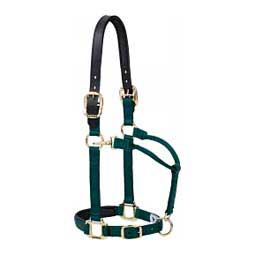 Padded Breakaway Horse Halter with Adjustable Chin and Throat Snap Hunter Green - Item # 47635