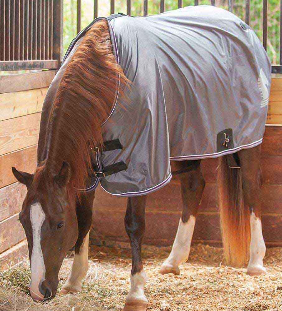Open Front Stable Horse Sheet Classic Equine Sheets Blankets Sheets