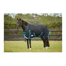 Comfitec Plus Dynamic II Standard Neck Medium Turnout Horse Blanket Black/Aqua - Item # 47670