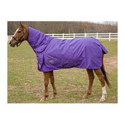1200D Comfy Medium Detach-A-Neck Turnout Horse Blanket Purple - Item # 47680