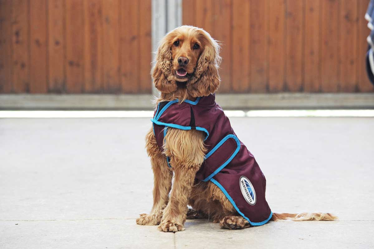 Comfitec Windbreaker Free Deluxe Dog Coat Weatherbeeta - Dog Blankets | Pet