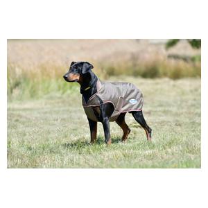 Comfitec Windbreaker Free Deluxe Dog Coat Olive/Burgundy/White - Item # 47687