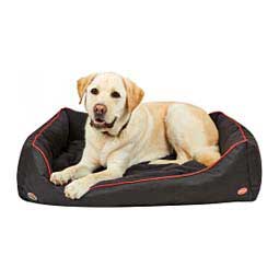 Therapy-Tec Dog Bed Black/Silver/Red - Item # 47699