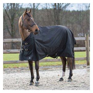 Nevada Lightweight Horse Turnout Sheet Black - Item # 47718