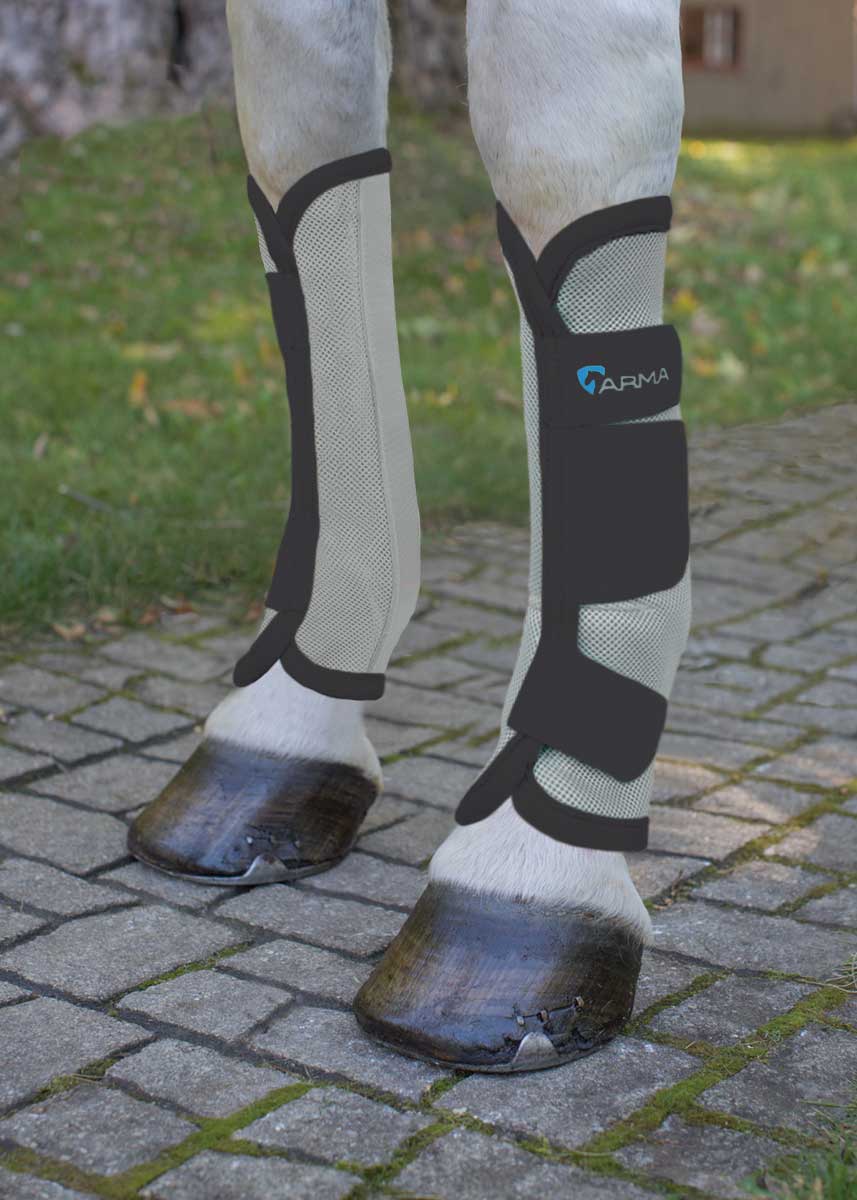 ARMA FLY SOCKS PROTECTION FOR HORSE LEGS AGAINST INSECTS - MySelleria