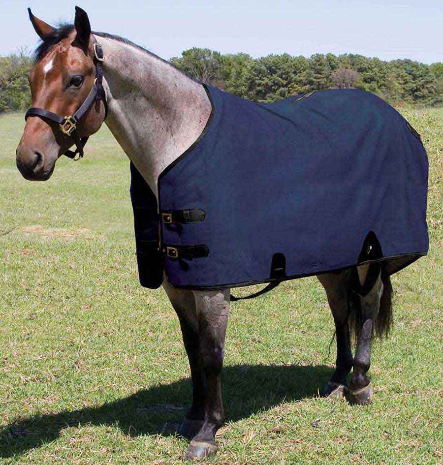 Canvas Stable Horse Blanket