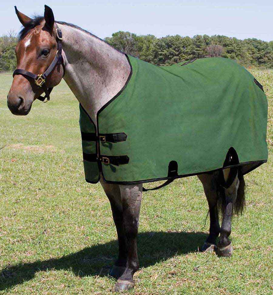 Mustang Canvas Turnout Blanket 72in Green