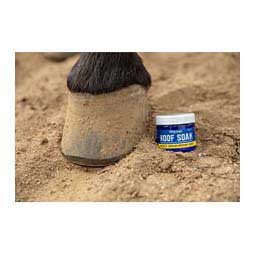 Vetericyn Mobility Hoof Soak 30 gm - Item # 47875