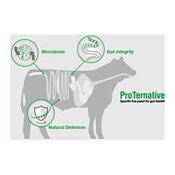 ProTernative Advantage for Livestock 46.1 lb - Item # 47882