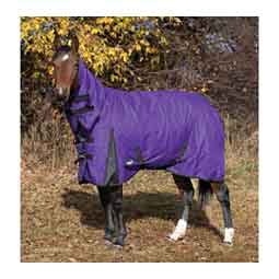 Heavy Weight Full Neck Turnout Horse Blanket Purple - Item # 47914