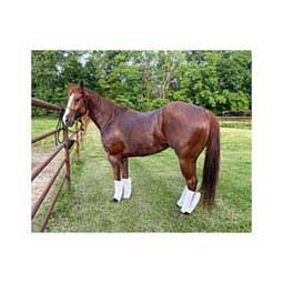 Fly Free Insect Protection Horse Boot White - Item # 48075