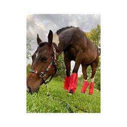Fly Free Insect Protection Horse Boot Red - Item # 48075