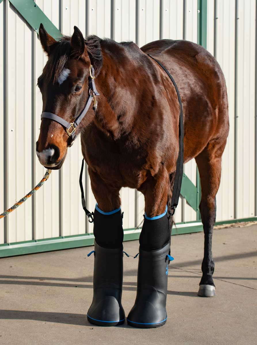 Horse Soaking Boot: Ultimate Comfort for Quick Recovery