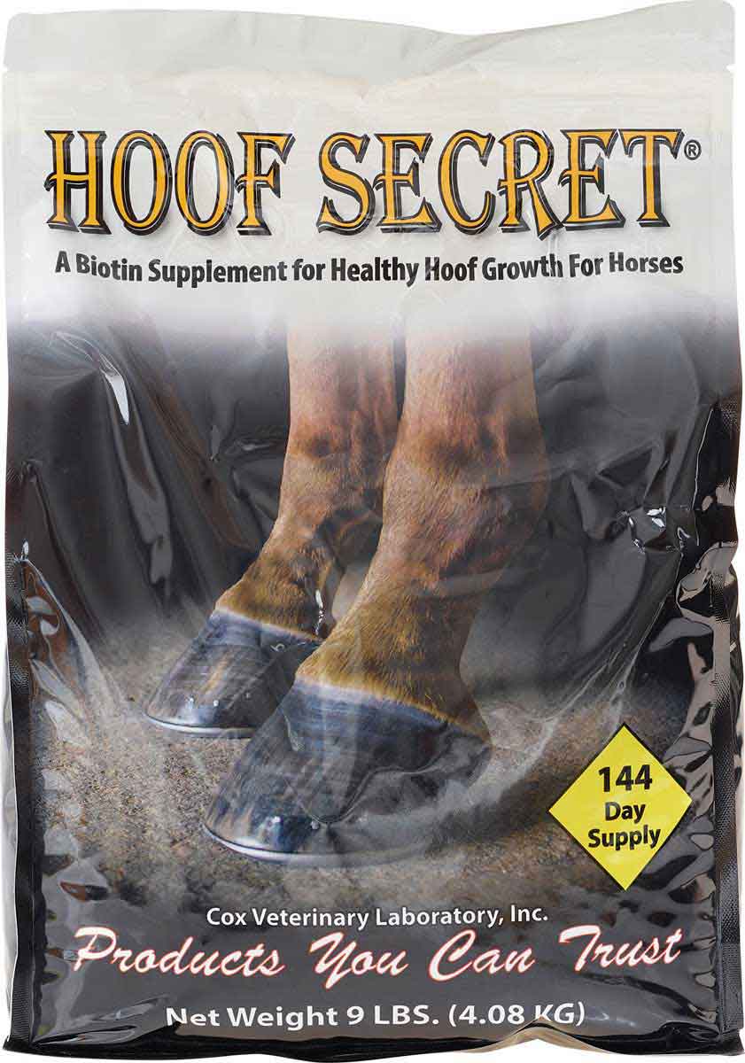 Anibio Horse-Cox Ergänzungsfutter Für Pferde – 420 G Dose, Für Alle Lebensphasen