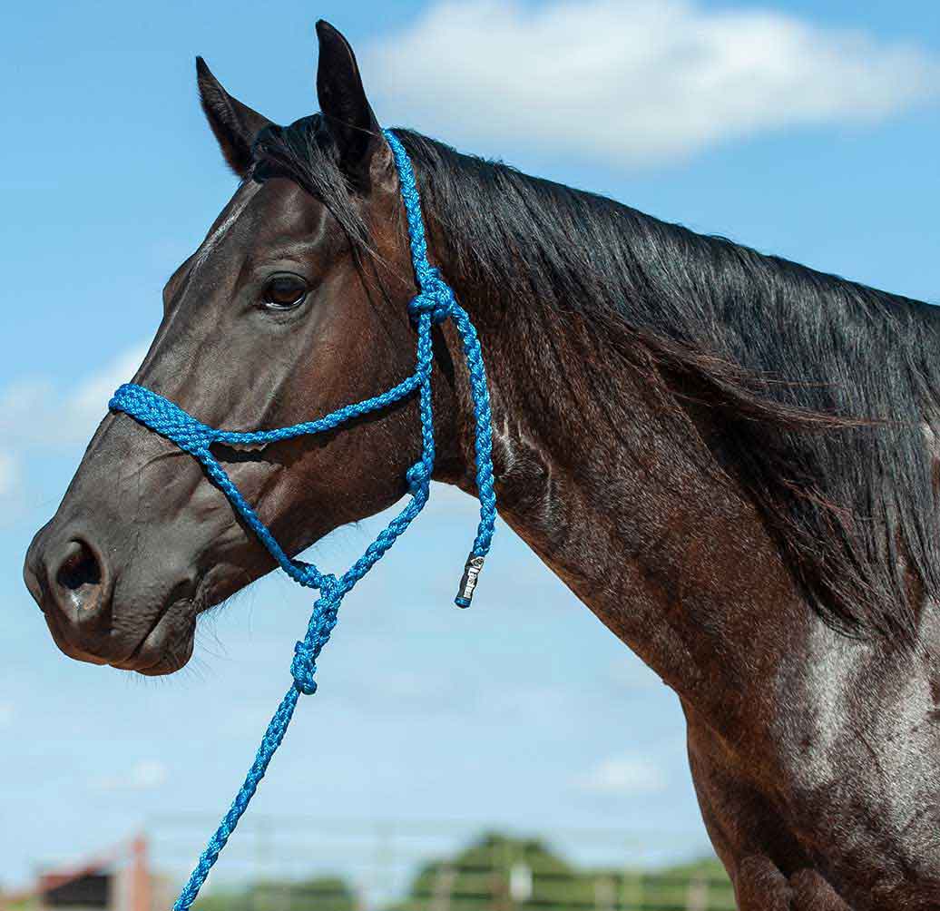 Name Tag for Horse Tack Lead Rope Halter Bridle Saddle 