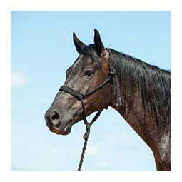 Flat Braid Horse Halter w/ 9-ft Lead Black - Item # 48142