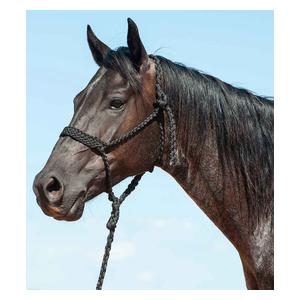 Flat Braid Horse Halter with 9-ft Lead Black - Item # 48142