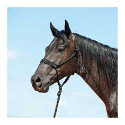 Flat Braid Horse Halter w/ 9' Lead Black - Item # 48142