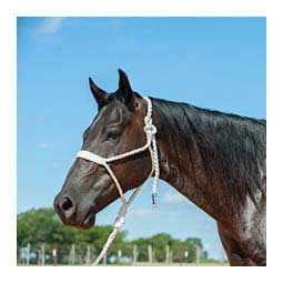 Flat Braid Horse Halter w/ 9-ft Lead White - Item # 48142