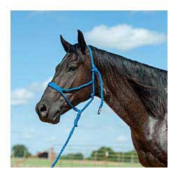Flat Braid Horse Halter w/ 9-ft Lead Blue - Item # 48142