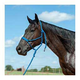 Flat Braid Horse Halter w/ 9' Lead Blue - Item # 48142
