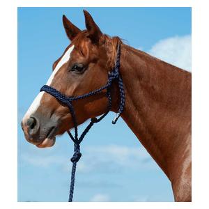 Flat Braid Horse Halter with 9-ft Lead Navy - Item # 48142