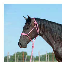 Flat Braid Horse Halter w/ 9' Lead Pink - Item # 48142