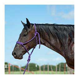 Flat Braid Horse Halter w/ 9-ft Lead Purple - Item # 48142