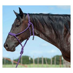 Flat Braid Horse Halter with 9-ft Lead Purple - Item # 48142