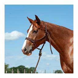 Flat Braid Horse Halter w/ 9' Lead Brown - Item # 48142