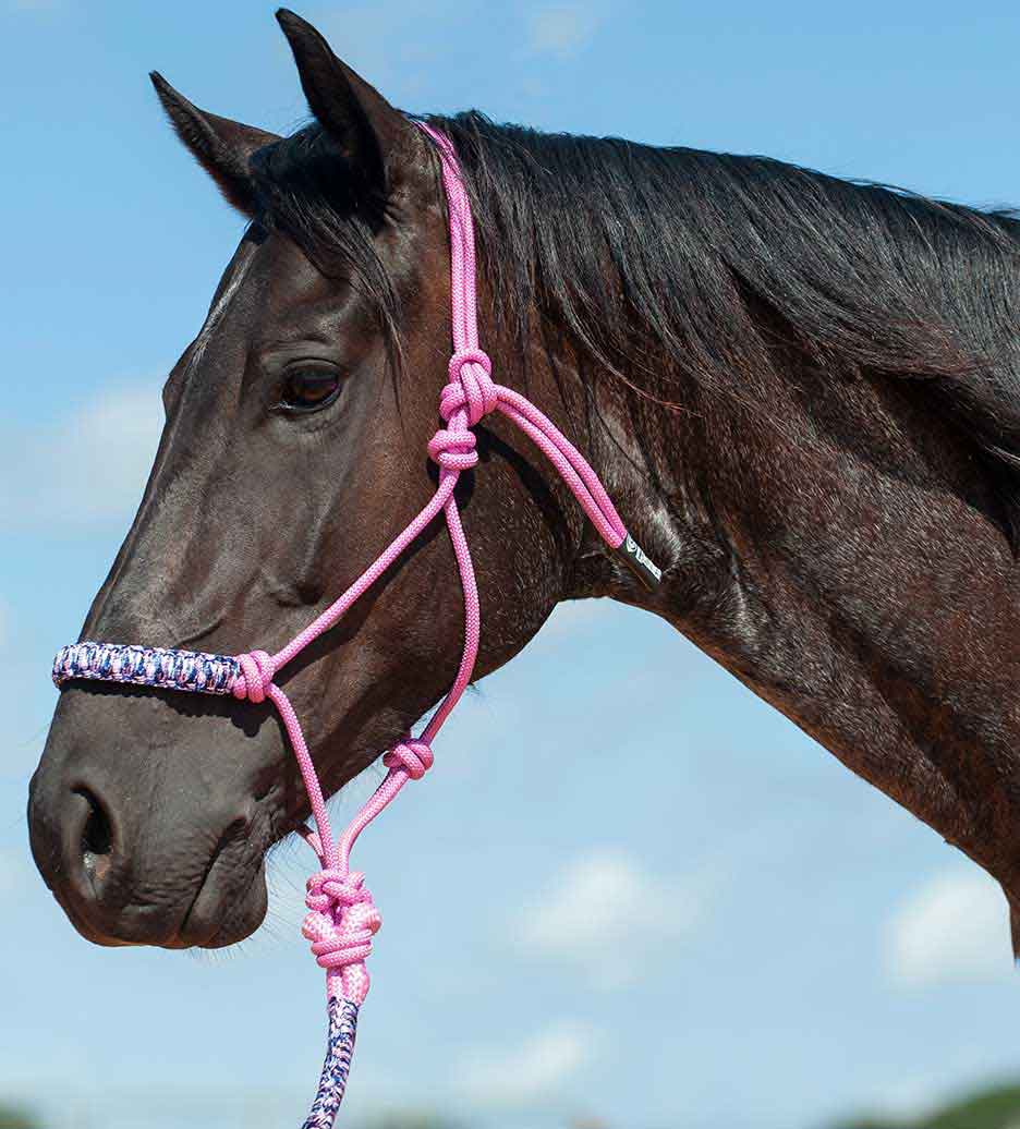 Weaver Leather Braided Rope Halter with 10' Lead - 35-7820-R3 | Blain's Farm & Fleet Weaver Leather Braided Rope Halter with 10' Lead - 35-7820-R3 | Blain's Farm & Fleet