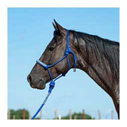 Braided Rope Halter with Lead Blue Camo - Item # 48144