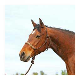 Braided Rope Halter with Lead Brown Camo - Item # 48144