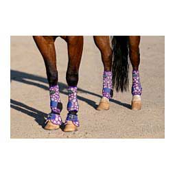2XCool Sports Medicine Horse Boots Value Pack Daisy - Item # 48203C
