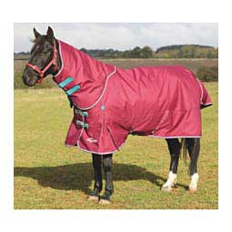 Highlander Plus 300 Turnout Horse Blanket Raspberry - Item # 48308
