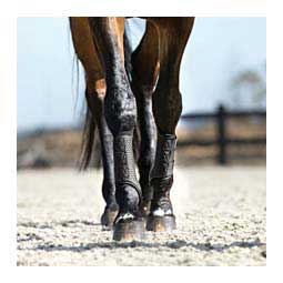 Anchor Hybrid Horse Splint Boots Black - Item # 48372