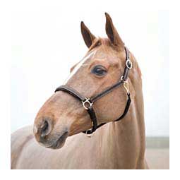 Largo Leather Horse Halter Dark Brown - Item # 48375