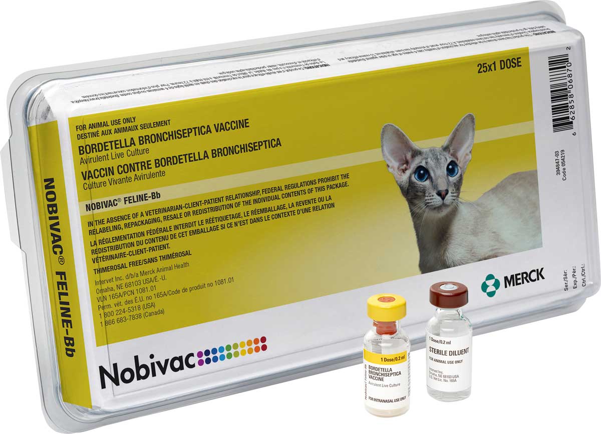 Nobivac Feline-Bb Vaccine Merck - Cat Vaccines | Vaccines | Pet