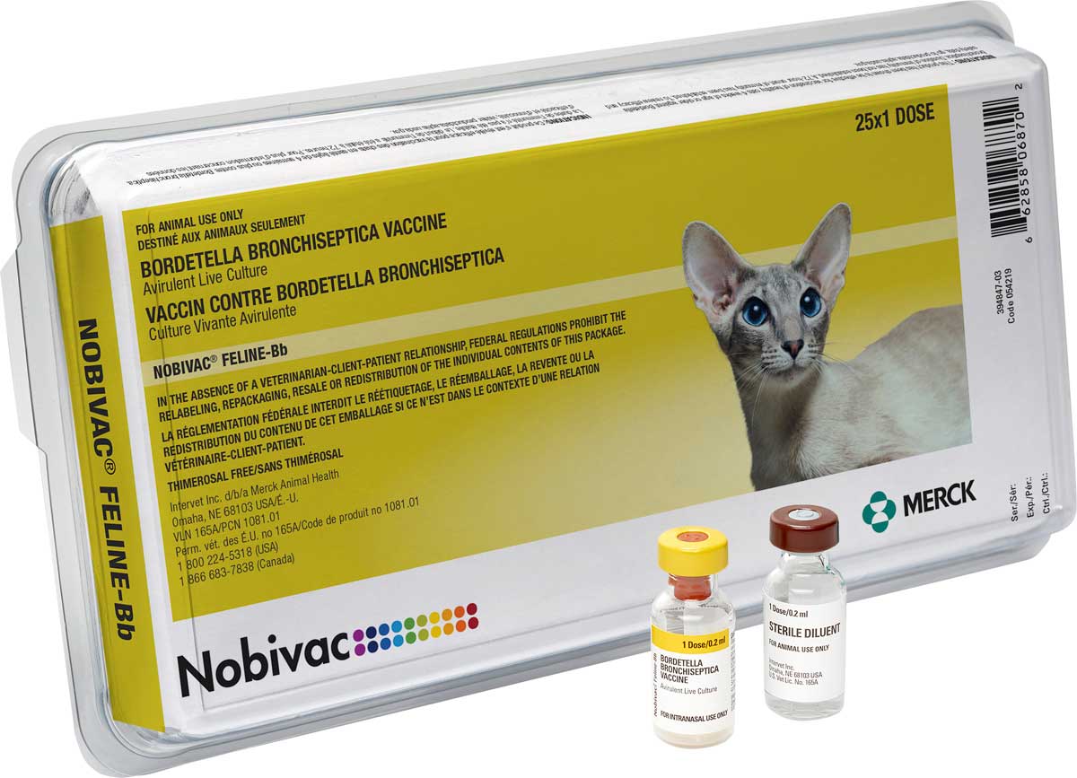 Nobivac Feline-Bb Vaccine Merck - Cat Vaccines | Vaccines | Pet Nobivac Feline-Bb Vaccine Merck - Cat Vaccines | Vaccines | Pet