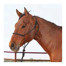 Rope Horse Halter with Lead Black - Item # 48431