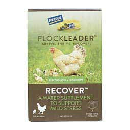 FlockLeader Recover for Chickens 35 gm - Item # 48443