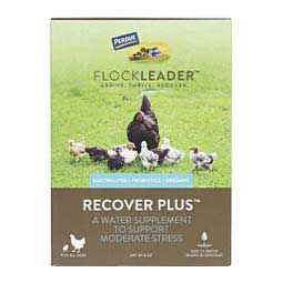 FlockLeader Recover Plus for Chickens 8 oz - Item # 48444