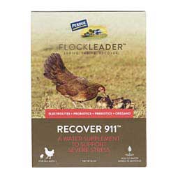 FlockLeader Recover 911 for Chickens 8 oz - Item # 48445