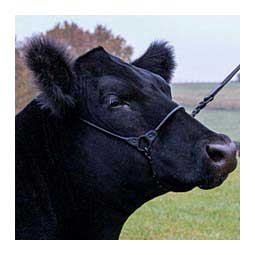 Incognito Cattle Show Halter Black - Item # 48452