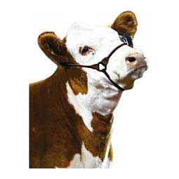 Incognito Cattle Show Halter Brown - Item # 48452