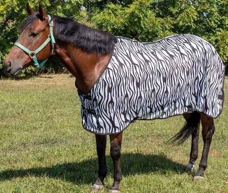 FlySheet Estivo A Rete Per Cavalli – Viola – Flusso D'aria Primavera – Challenger - Foto 4