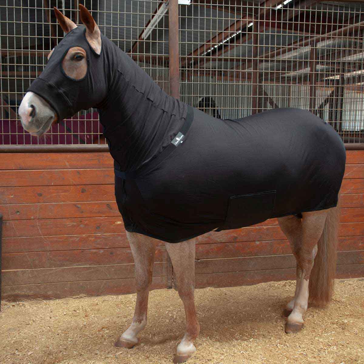 Valley Vet Horse Slinky Full Body Horse Sheet Classic Equine Lycra